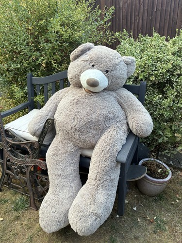Giant teddy bear - giant,