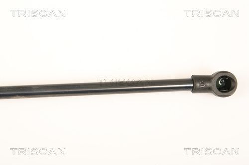 Fits triscan 8710 25245 - triscan,