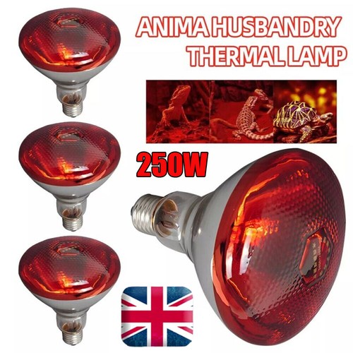 Pcs infra red heat bulb - pcs,