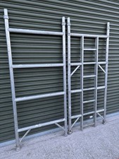 Boss Youngman 4 Rung 2.0m