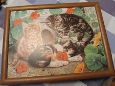 Cat Design aptray Cushioned Base Bean Bag Art Dinner tray laptop tray