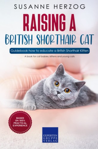 Raising british shorthair - raising,