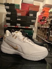 Nike ZM Lebron NXXT Gen Equity