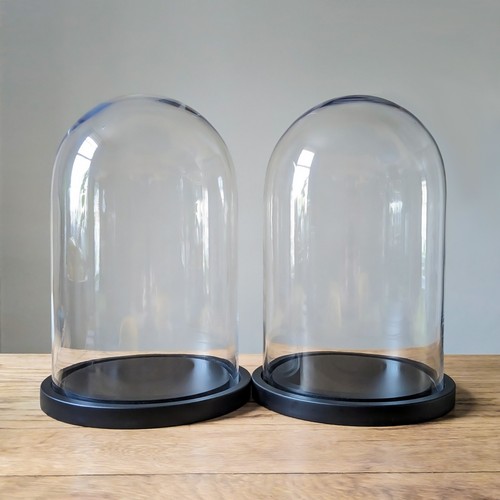 Large pair glass domes on - domes,