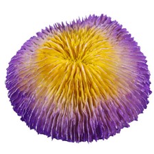  Artificial Sea Anemone Faux