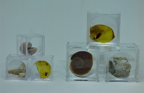 Magnifying display boxes - magnifying,