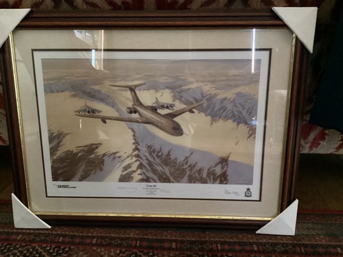 Framed print lion mark - lion, by
