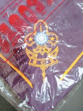 Brand New, Unopened Boy Scout