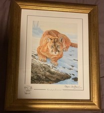 Stephen Gayford limited edition print. “ Ready to Pounce “  Puma in the Snow.