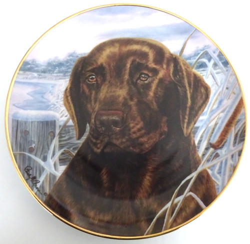 Afternoon watch franklin - -,
