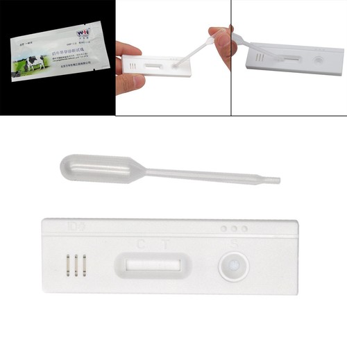 Cow pregnancy test equipment - cow,