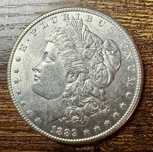 1889 morgan silver dollar - morgan,