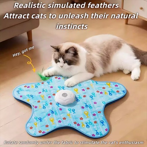 Interactive cat toys cats - cat,