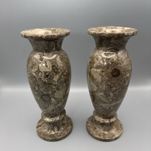 Pair fossil marble stone - fossil,
