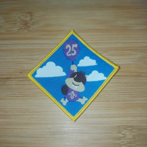 Scouting beaver scout 25th - uk,