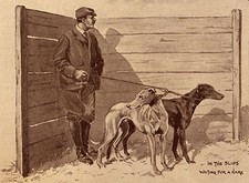 GREYHOUND MAN AND DOGS