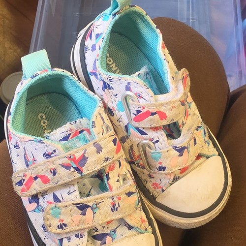 Converse chuck taylor - taylor, star