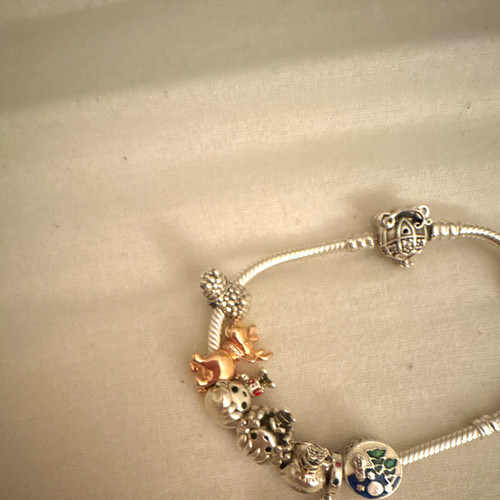 Silver tone snake chain charm - silver,