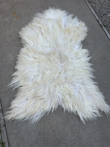 Large cashmere goat - skin,