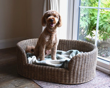 Small oval wicker dog bed