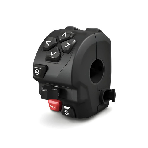 Triumph cruise control - triumph,
