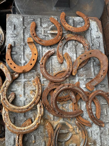 Rustic horseshoe real - rustic,