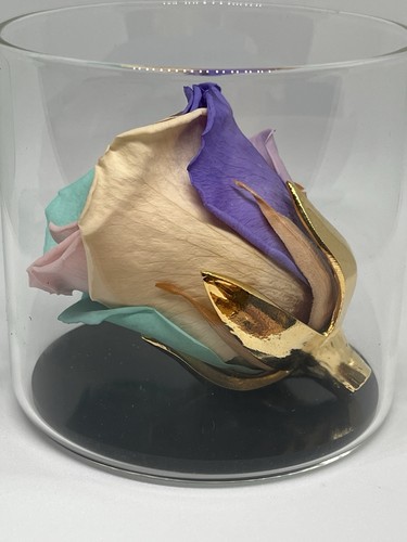 Amoroses bijou eternal - amoroses,
