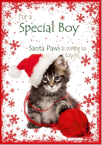 Doodlecards special boy - doodlecards,
