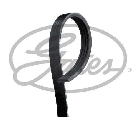 Ribbed belt fits audi - belt, a8