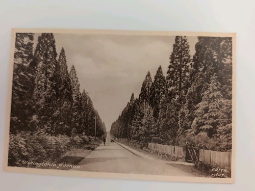 Frith postcard - frith,