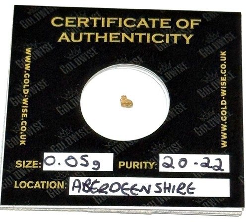 Rare raw gold - raw, nugget