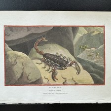 Antique Hand Colored 1807