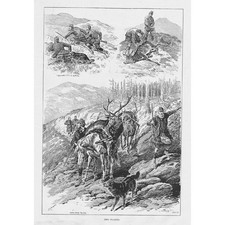 DEER HUNTING in Scotland -