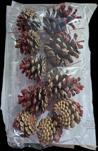 Wired pine cones - wired, 10