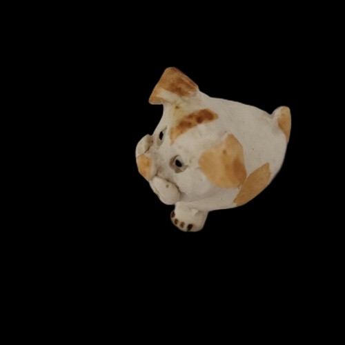 Mini puppy dog peter - puppy,