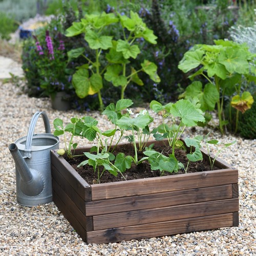 Wooden raised garden planter - raised,