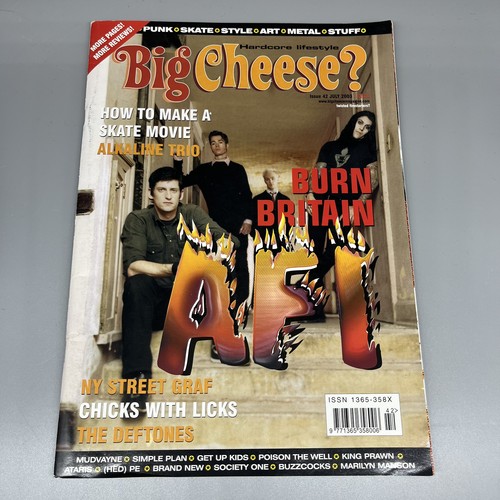 Big cheese vintage y2k punk - big, nu