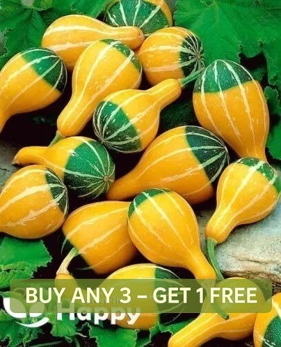 Small spoon seeds - -,