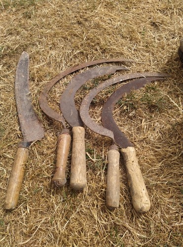 Vintage garden sickle - 5x,