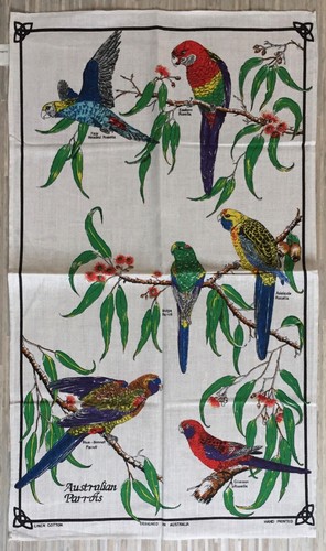 Vintage australian parrots - vintage,
