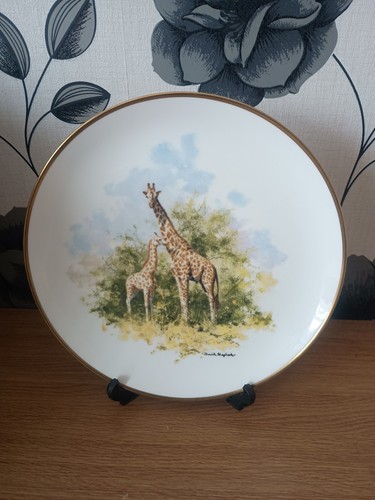 Wedgewood david shepherd - wedgewood,