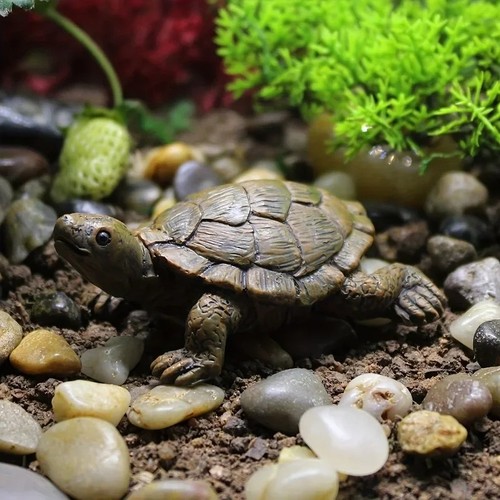 Turtle tortoise art - art, outdoor