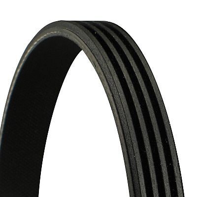 Continental 4pk595 ribbed - 4pk595, v-ribbed