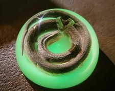 Real snake in resin, glow in