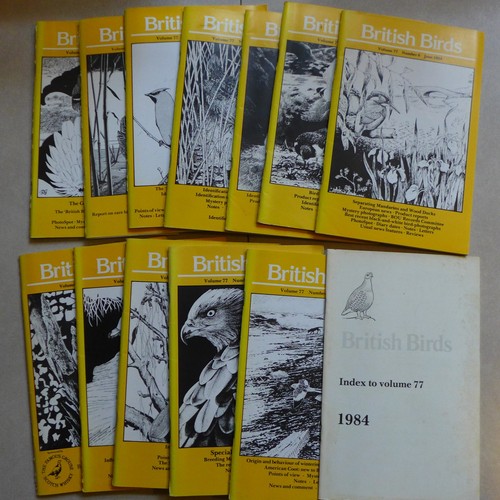 British birds magazines full - birds,