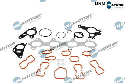 Cylinder head gasket - cylinder,