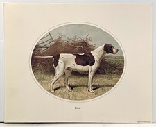 English Pointer, Edizioni Gutenberg reproduction print