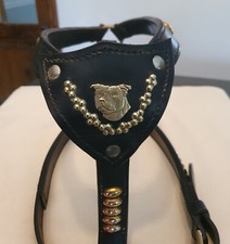 Staffordshire Bull Terrier Black Leather &Brass Harness  Vintage Quality item 