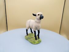 border fine arts, suffolk lamb, signed Geenty
