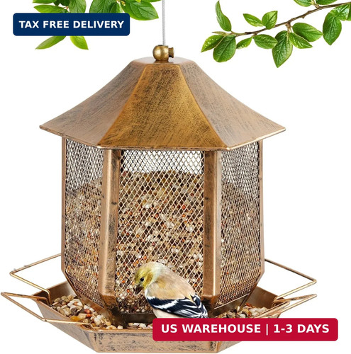 Bird feeder heavy - bird,